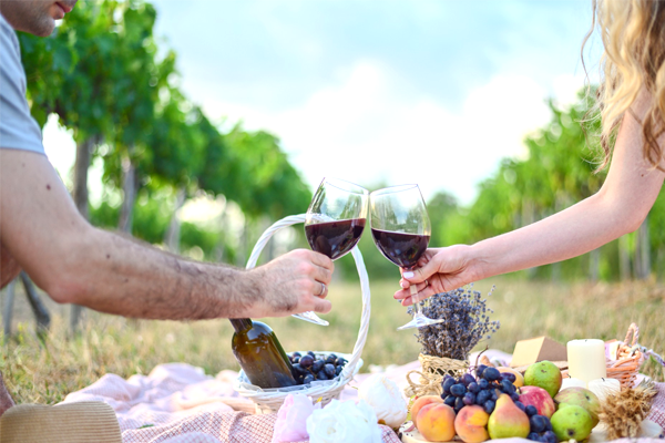 Winery Tour Img